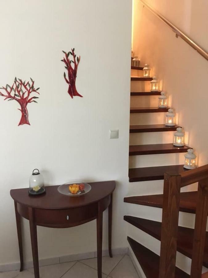 Dream House Βίλα Νικήτη Εξωτερικό φωτογραφία